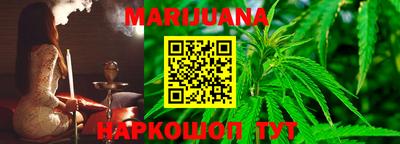 сатива Малгобек