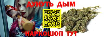 сатива Малгобек