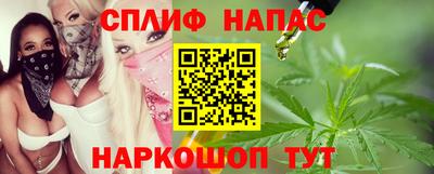сатива Малгобек