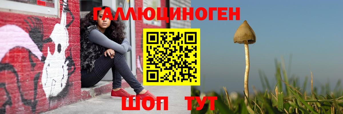 где купить наркотик  Галлюциногенные грибы прущие грибы  Зима  Вход с VPN  Галлюциногенные грибы Magic Shrooms 