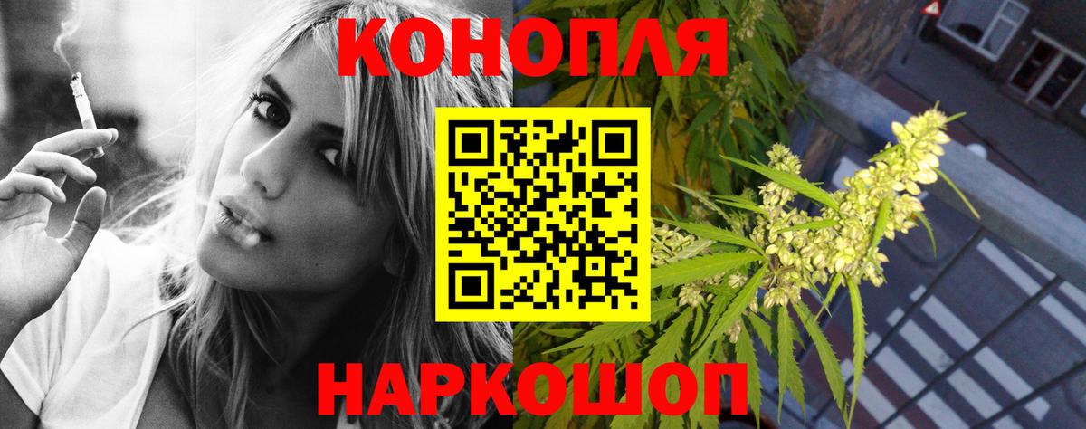 МАРИХУАНА ГИДРОПОН  Марихуана Ganja  Вход с VPN  Зима  Бошки Шишки тримм 